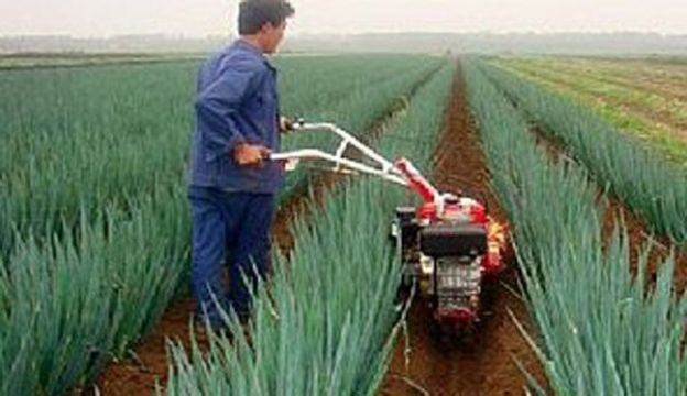 點(diǎn)擊查看詳細(xì)信息<br>標(biāo)題：成功案例 閱讀次數(shù)：3217