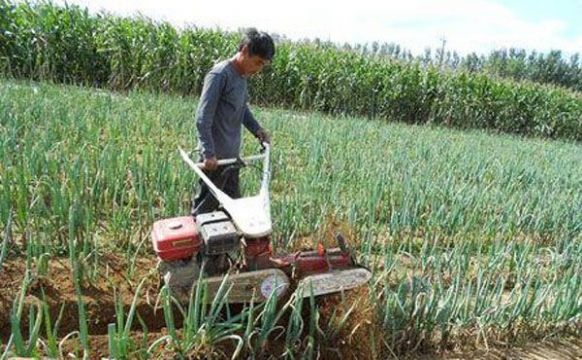 點(diǎn)擊查看詳細(xì)信息<br>標(biāo)題：成功案例 閱讀次數(shù)：3311