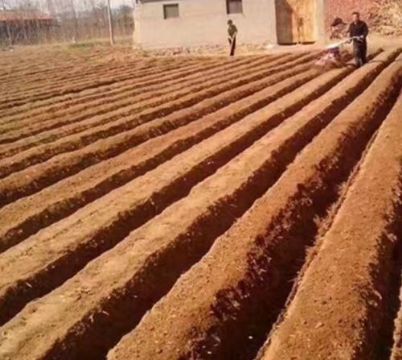 點(diǎn)擊查看詳細(xì)信息<br>標(biāo)題：開(kāi)溝機(jī)　 閱讀次數(shù)：2419